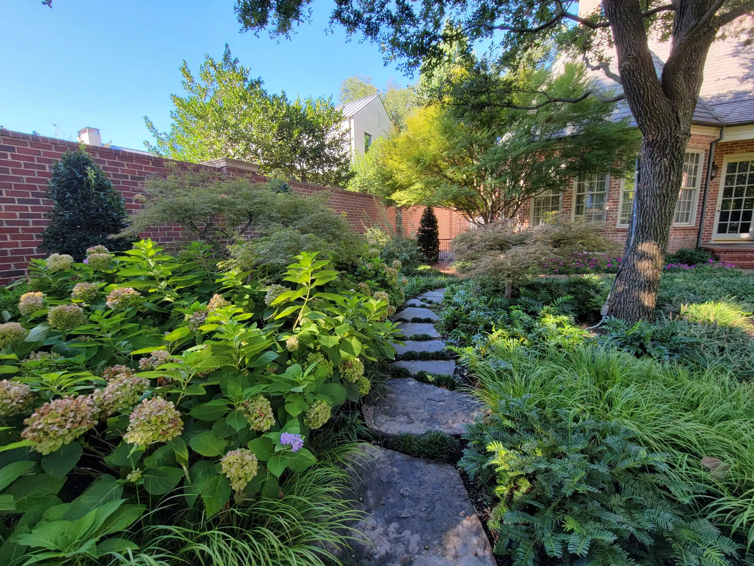 Landscape Design Irving