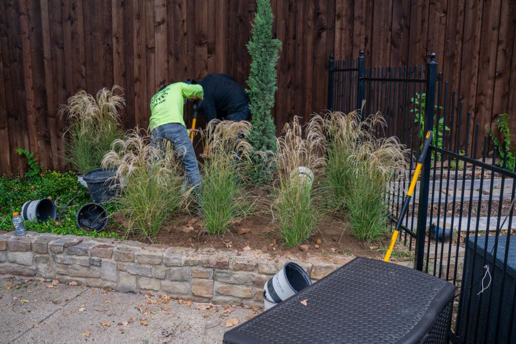 Year-Round Landscape Maintenance in Irving