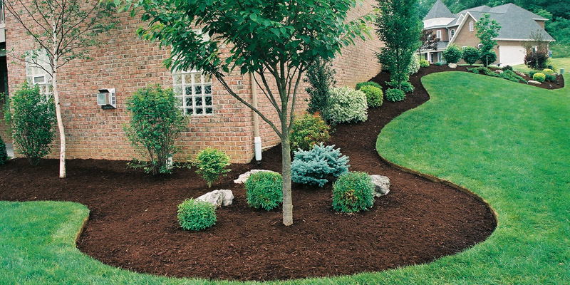 How to Choose the Right Mulch for Your Landscape
